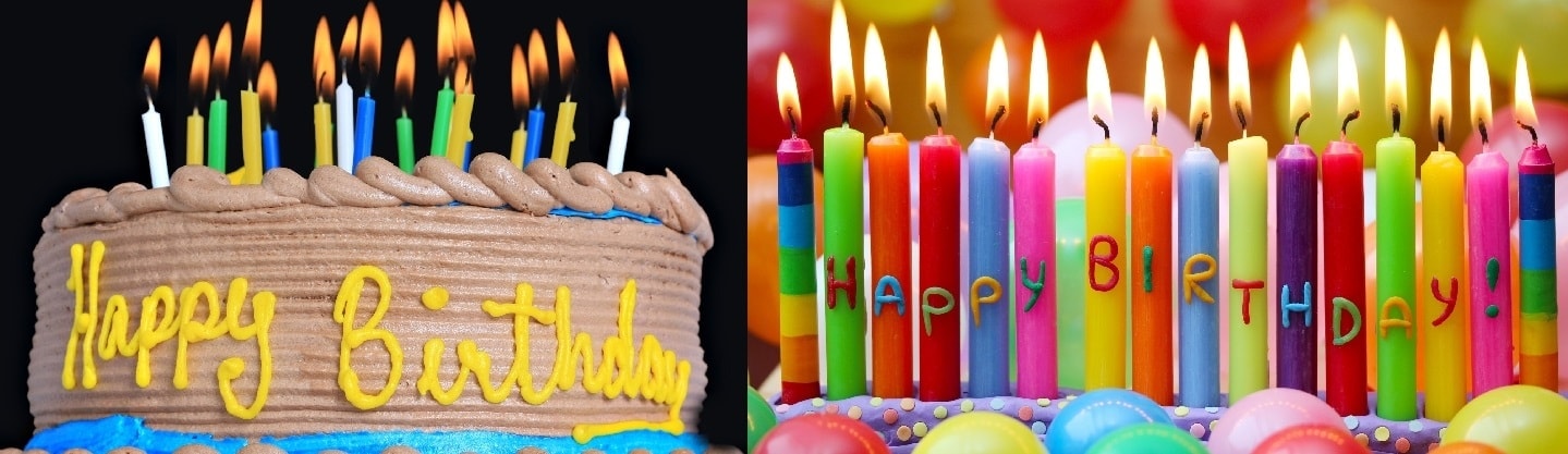 Yalova Buzlu Bıcı Bıcı Muhallebisi doğum günü pastası siparişi