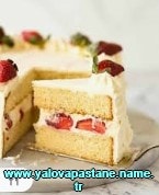 Yalova Mantar Tatlısı pastanesi doğum günü pastası fiyatı ucuz pasta çeşitleri gönder yolla