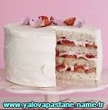Yalova Böğürtlenli yaş pasta pastanesi doğum günü pastası fiyatı ucuz pasta çeşitleri gönder yolla