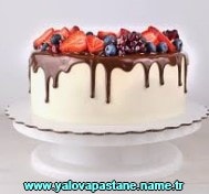 Yalova Fırında Sütlaç yaş pasta çeşitleri doğum günü pastası fiyatı ucuz pasta siparişi gönder yolla