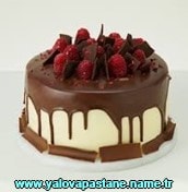 Yalova Çikolatalı krokanlı yaş pasta yaş pasta çeşitleri doğum günü pastası fiyatı ucuz pasta siparişi gönder yolla
