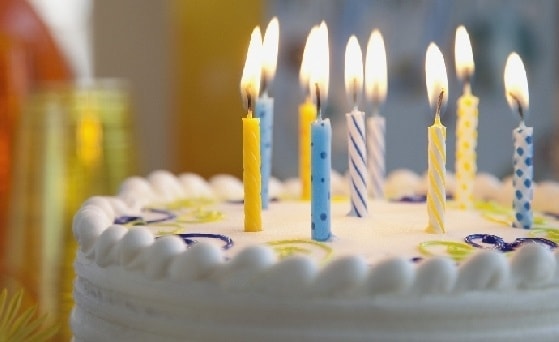 Yalova Trifle yaş pasta doğum günü pastası satışı